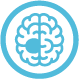 Malformation Embolisation icon